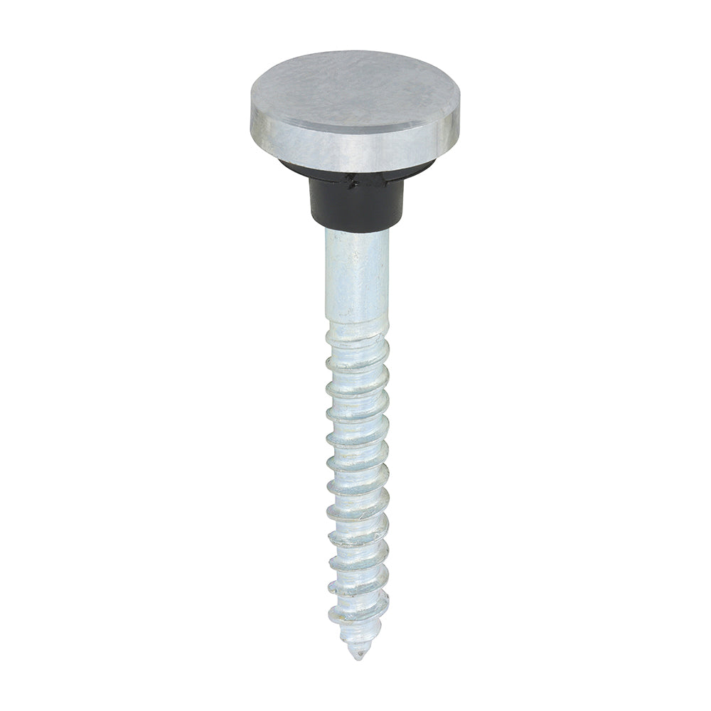 Mirror Screws - Zinc - Chrome Flat 8 x 1 1/2