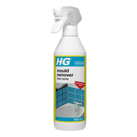 HG mould remover foam spray 0.5L -632050106