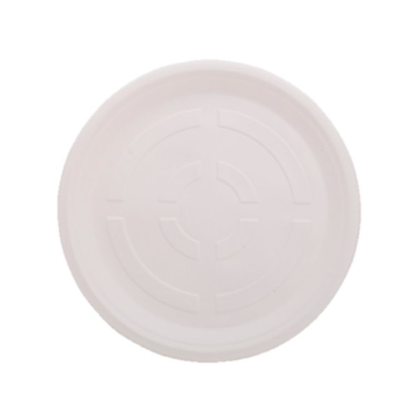 Eco Wise Biodegradable 12 Inch Round Plate plain pack of 25