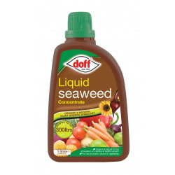 Doff Liquid Seaweed Plant Feed 1L