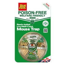 The Big Cheese Poison Free Ready Baited Live Mouse Trap
