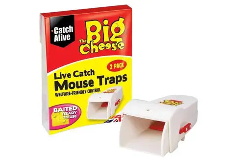Big Cheese Live Catch - Mouse Traps - Twin-pack-STV155