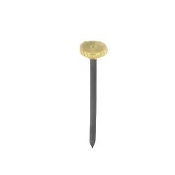 X Brass Headed Picture Pins Pack 10