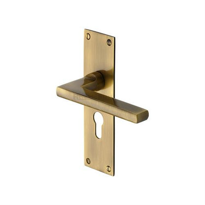 Trident Door Handle on Plate (Euro Profile)